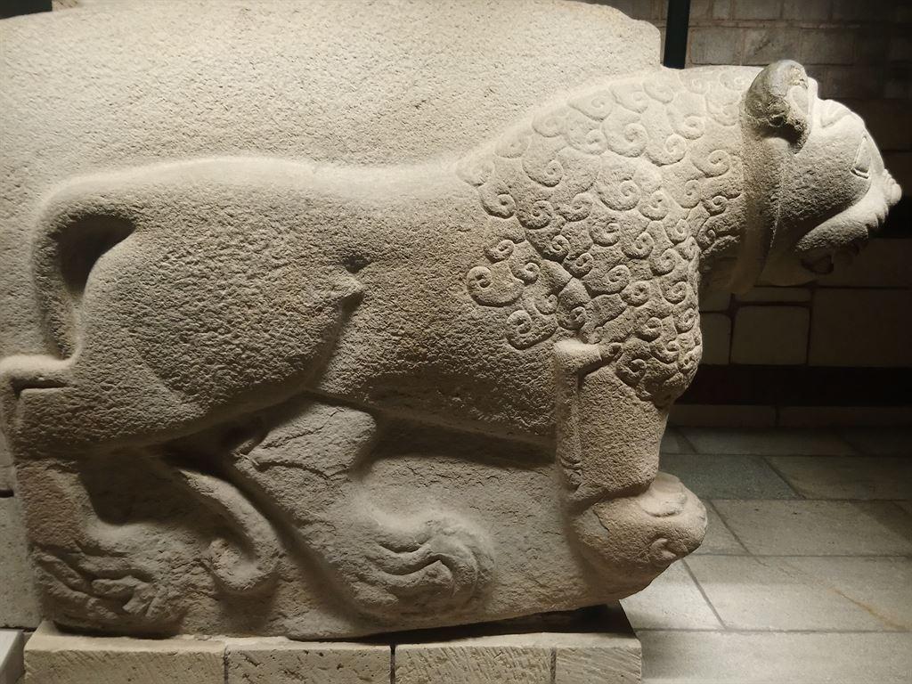 lion