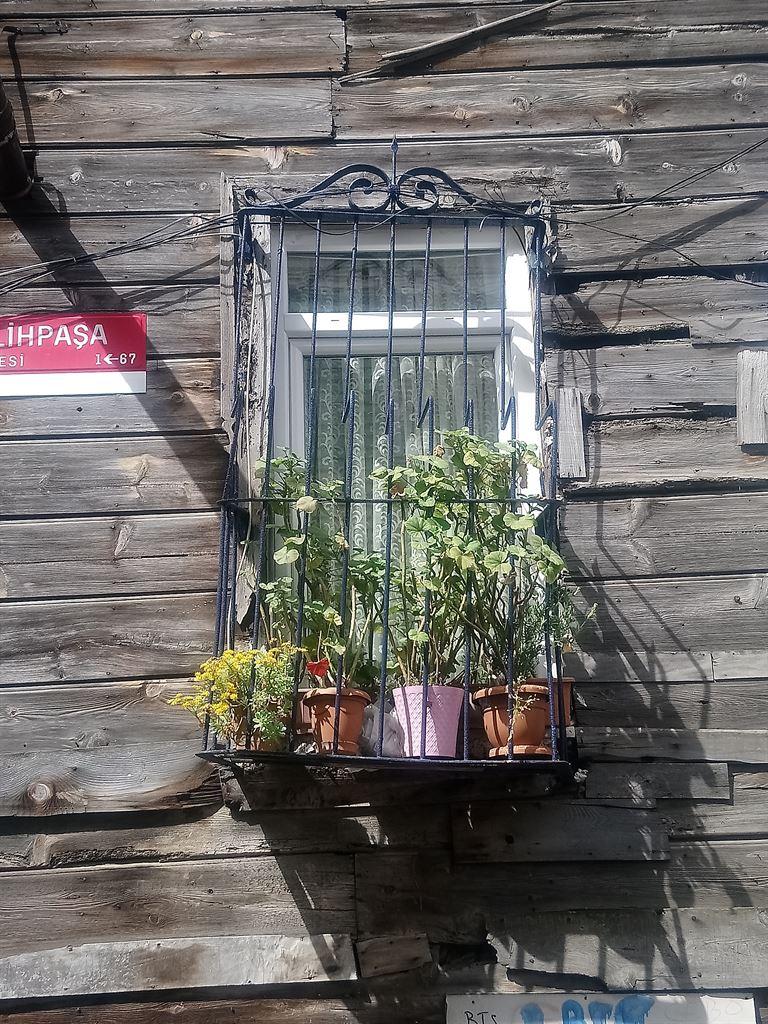 pots