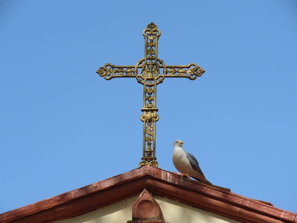 seagull&cross