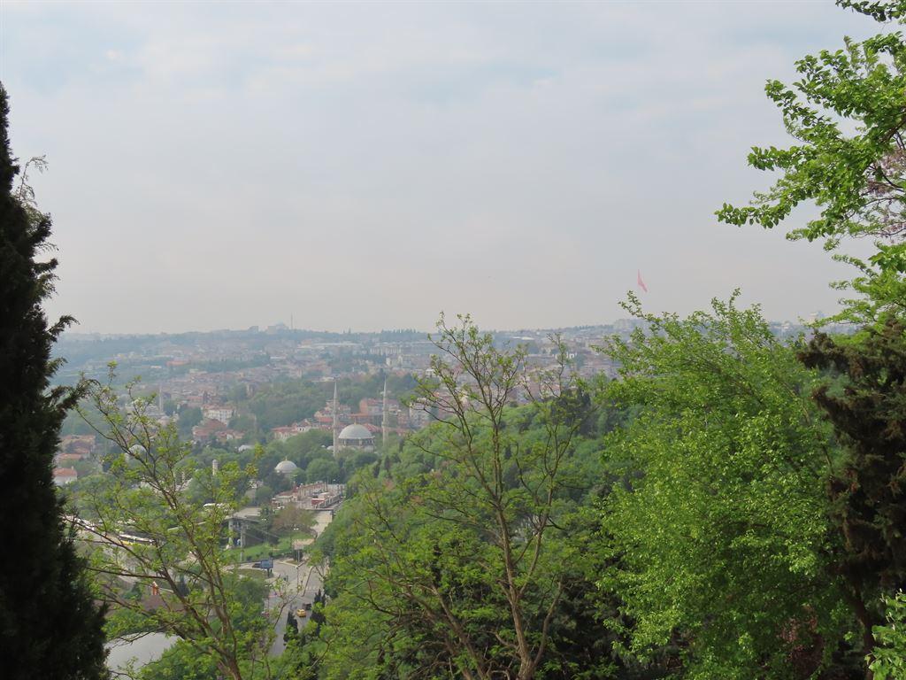 view1