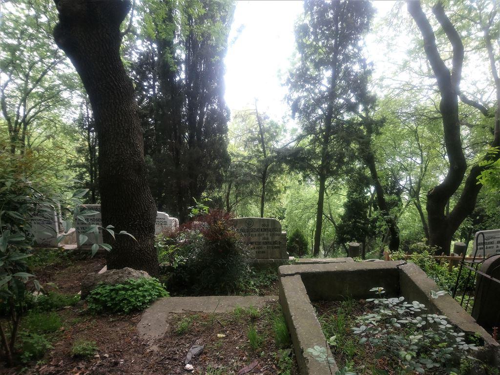 graves2