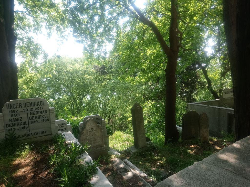 graves3