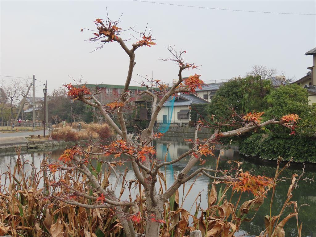hkroute1
